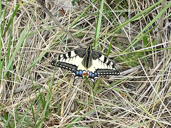 Casa de colonies_Visites properes 004